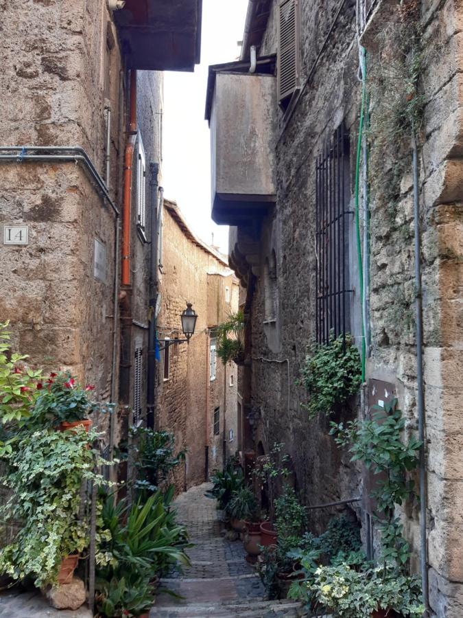 Historical Domus Leilighet Anagni Eksteriør bilde