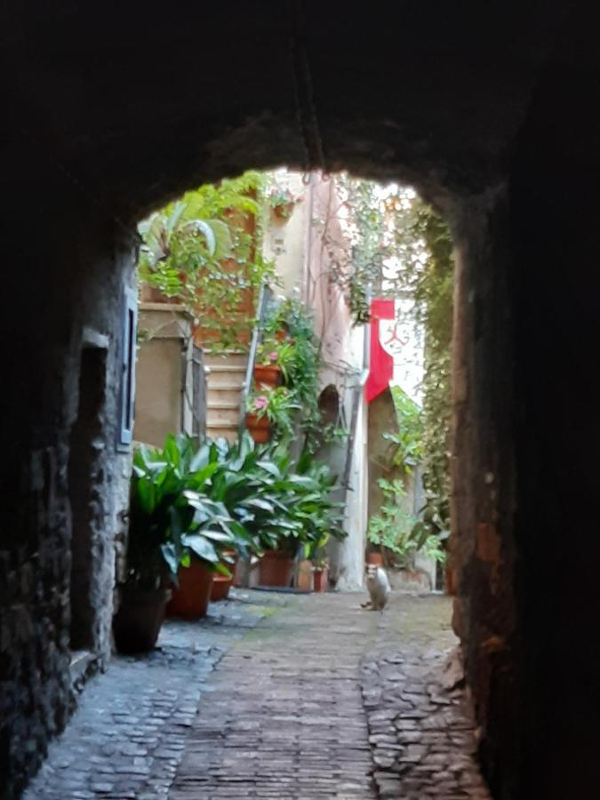 Historical Domus Leilighet Anagni Eksteriør bilde